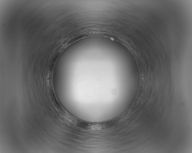 X0000056030423200508190957