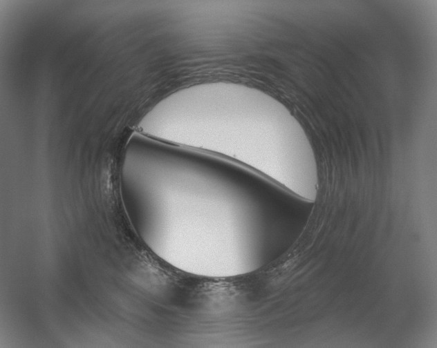 X0000056030424200508190957