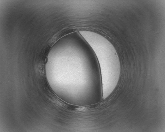X0000056030425200508190957