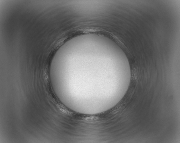 X0000056030426200508190957