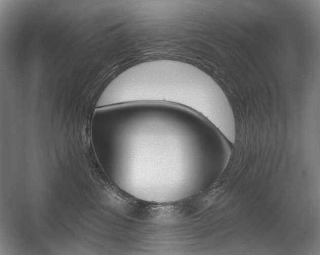 X0000056030428200508190957