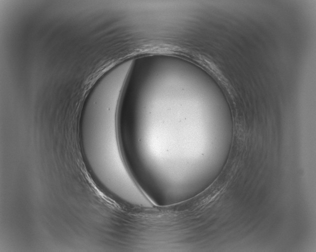 X0000056030433200508190956