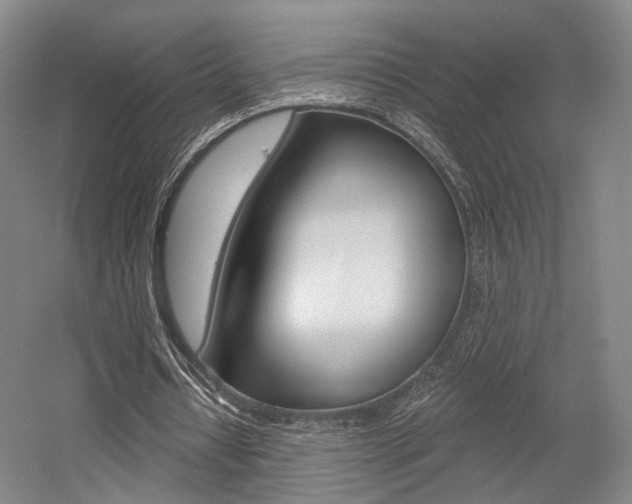 X0000056030434200508190956
