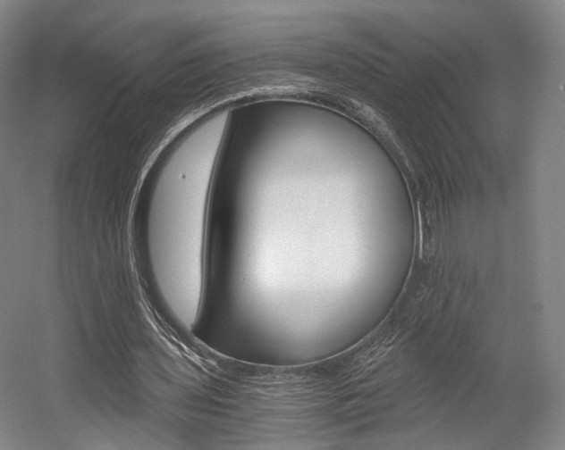 X0000056030435200508190956