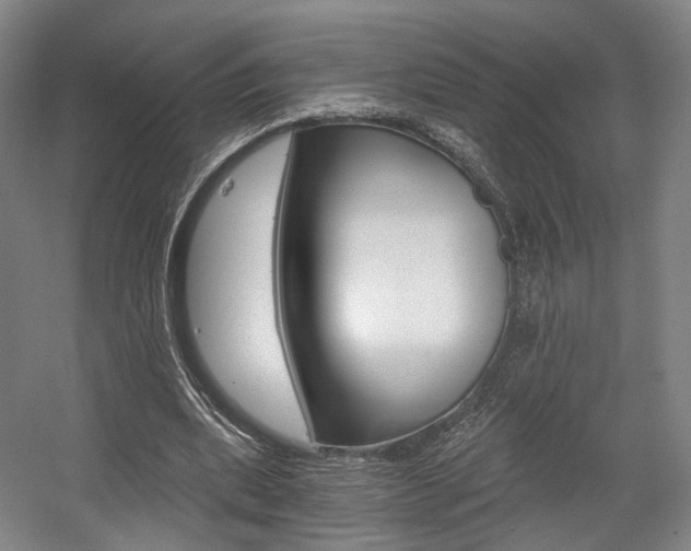 X0000056030439200508190956