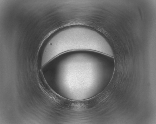X0000056030440200508190956