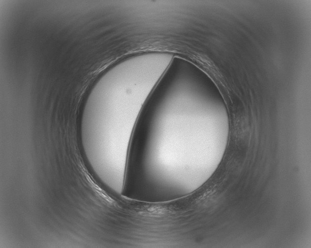X0000056030441200508190956