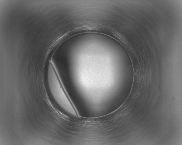 X0000056030442200508190956