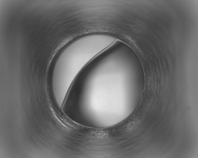 X0000056030443200508190956