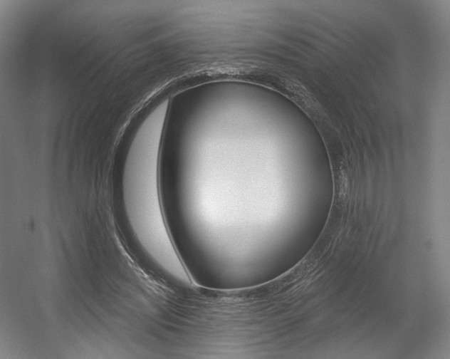 X0000056030444200508190956