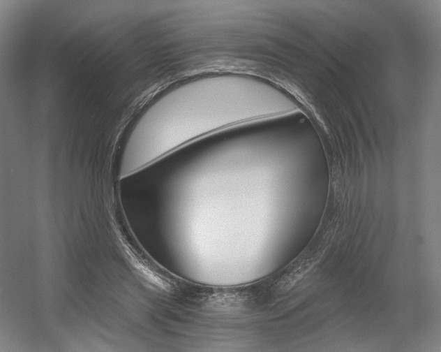 X0000056030445200508190956