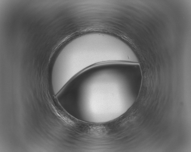 X0000056030446200508190956