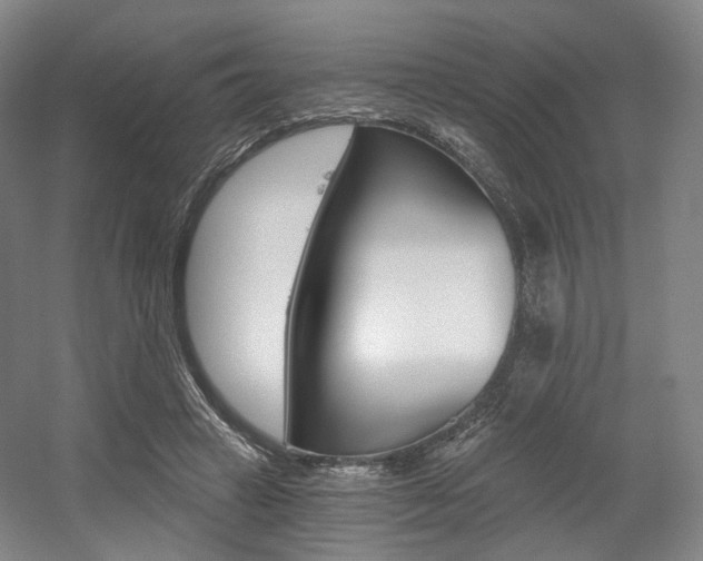 X0000056030449200508190956