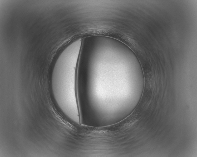 X0000056030450200508190956