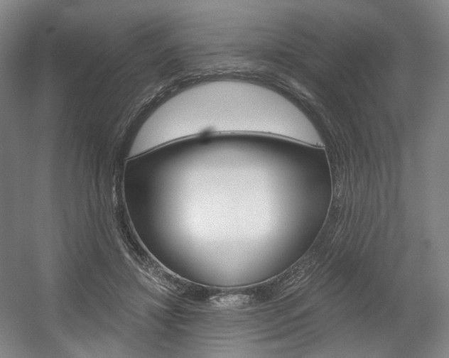 X0000056030452200508190956