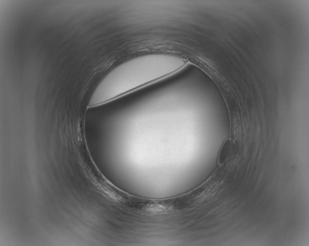 X0000056030453200508190956
