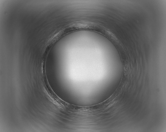 X0000056030454200508190956