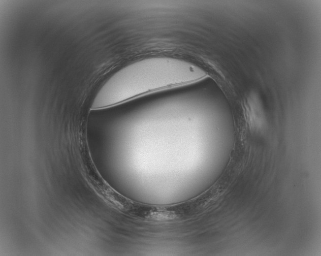 X0000056030455200508190956