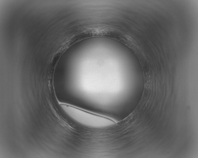 X0000056030456200508190957
