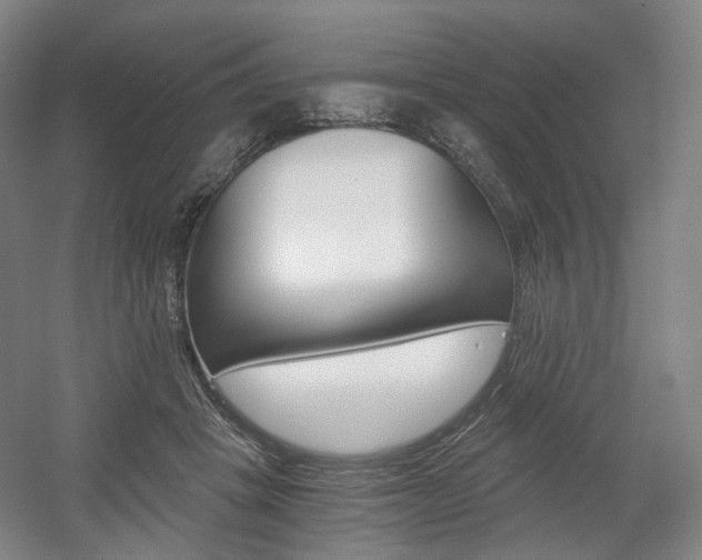 X0000056030457200508190957