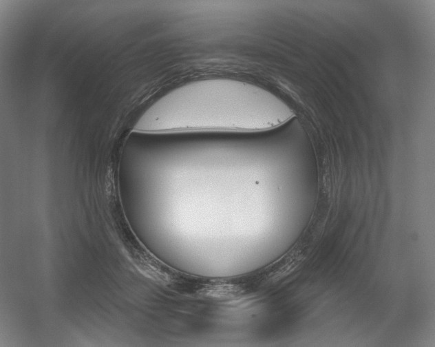 X0000056030459200508190957