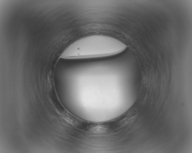 X0000056030460200508190957