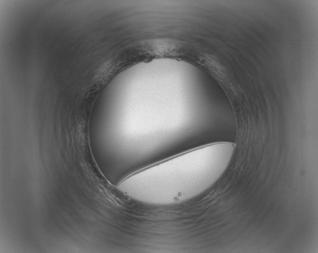 X0000056030461200508190957