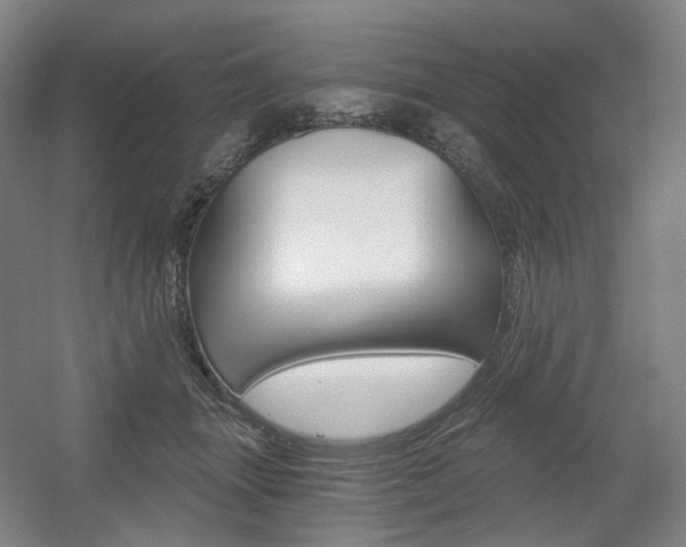 X0000056030463200508190957