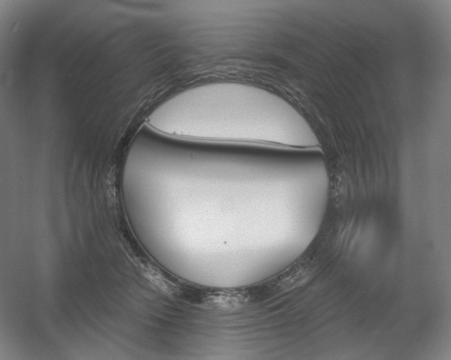 X0000056030466200508190957