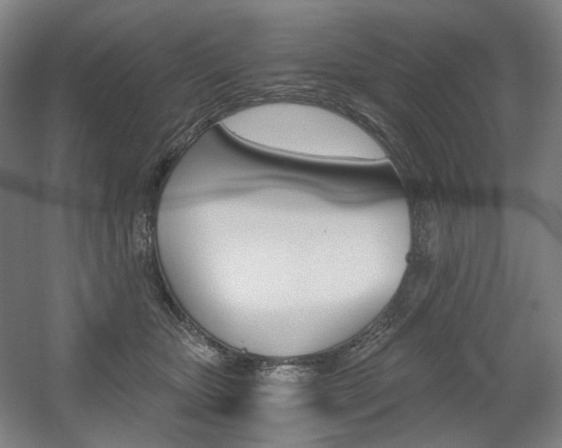 X0000056030467200508190957