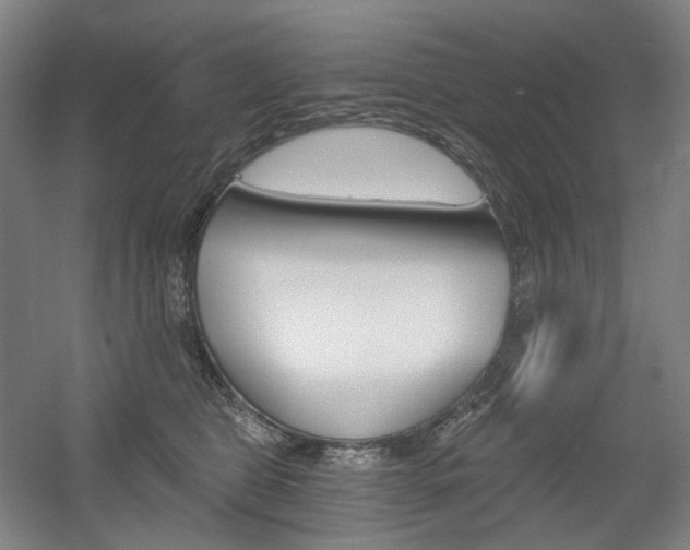 X0000056030469200508190957