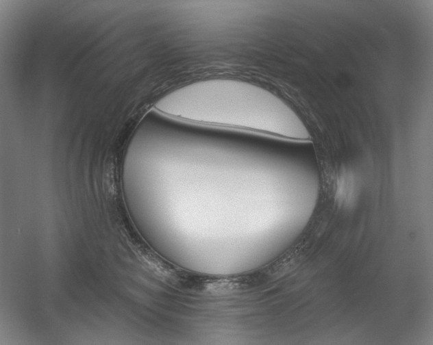 X0000056030470200508190957