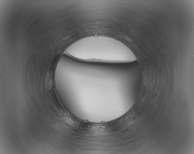 X0000056030471200508190957