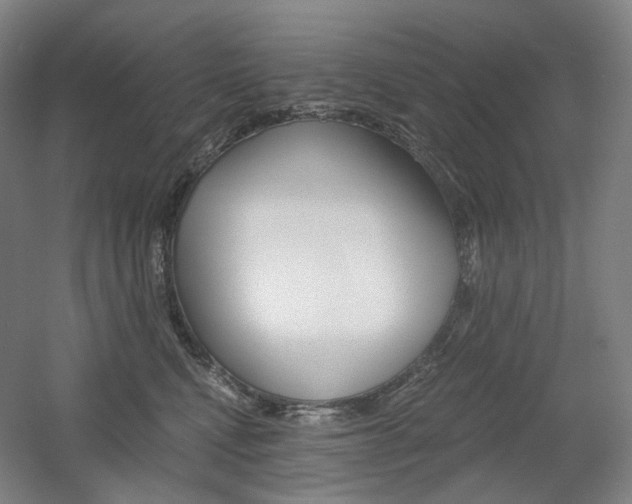 X0000056030472200508190957