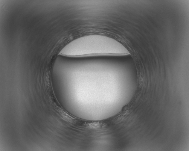 X0000056030473200508190957
