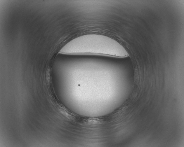 X0000056030475200508190957