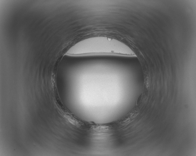 X0000056030476200508190957
