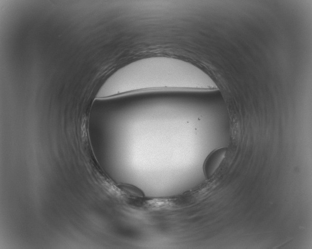 X0000056030477200508190957