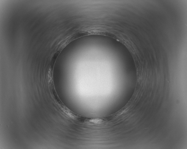 X0000056030478200508190957