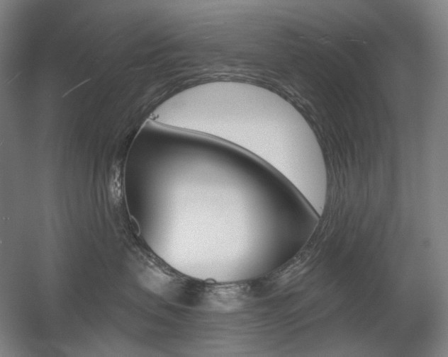 X0000056030479200508190957