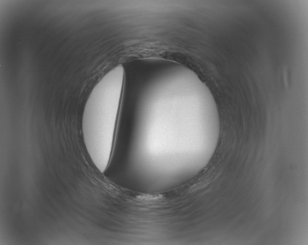 X0000056030480200508190957