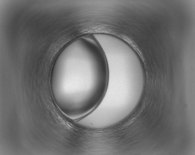 X0000056030481200508190956