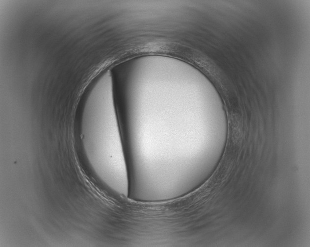 X0000056030482200508190956