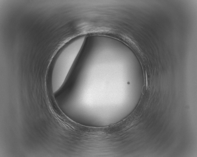 X0000056030483200508190956