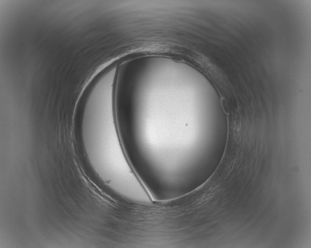 X0000056030484200508190956