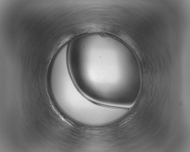 X0000056030485200508190956