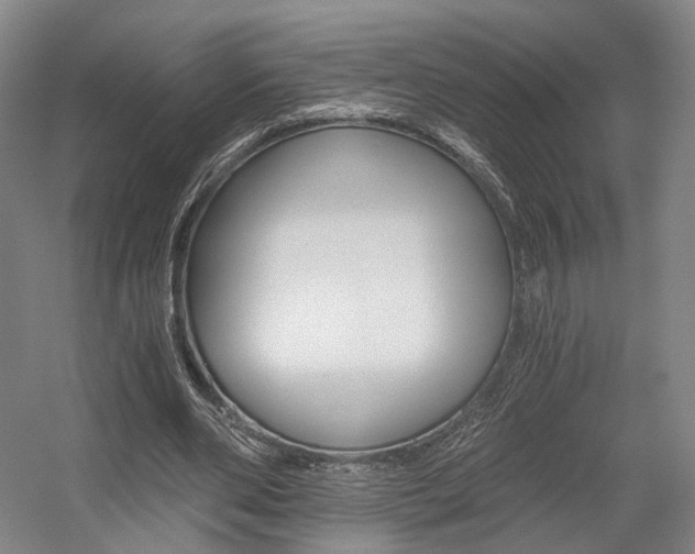 X0000056030486200508190956
