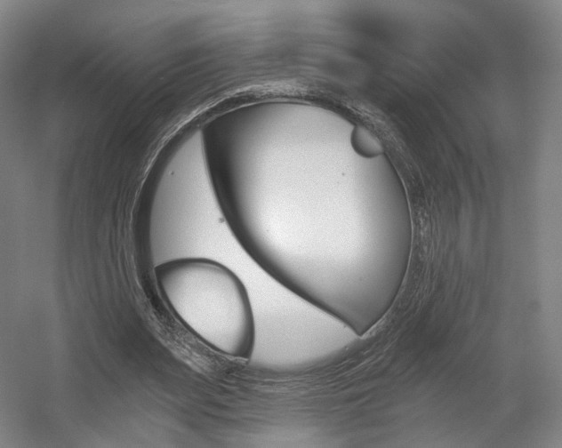 X0000056030487200508190956