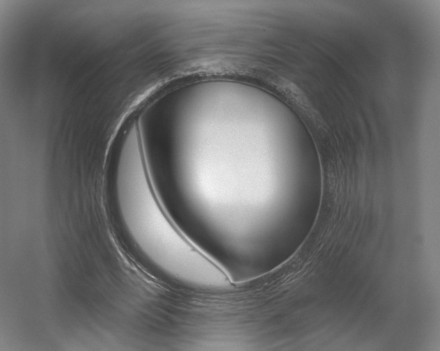 X0000056030488200508190956