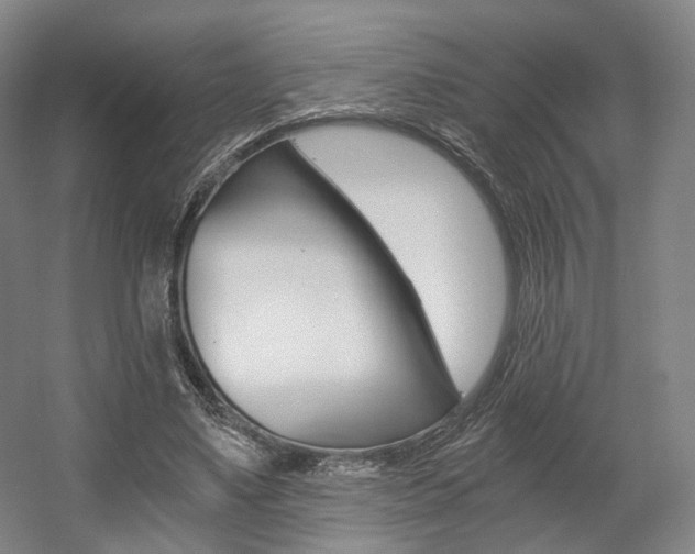 X0000056030491200508190956